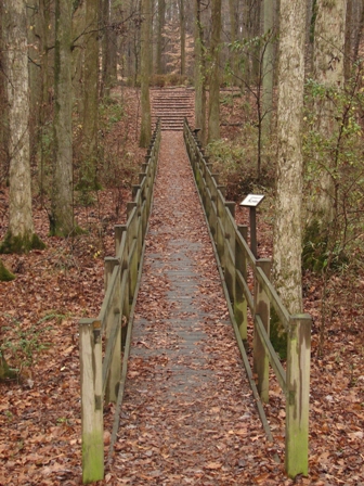 Swinging Bridge Nature Trail