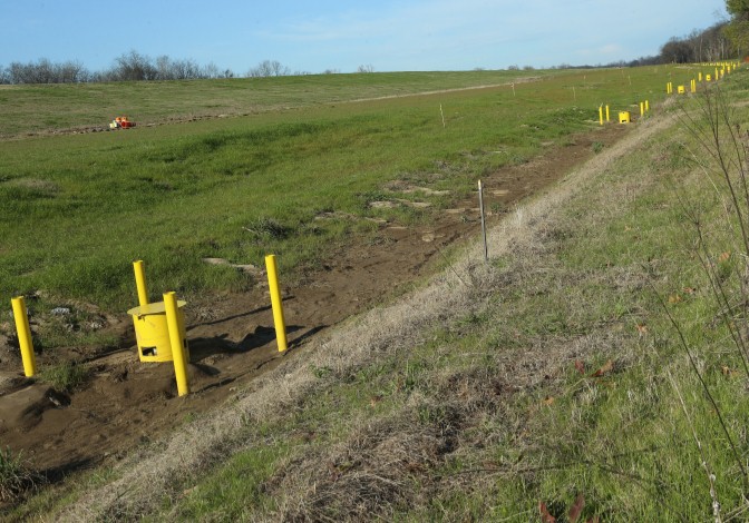 A row of relief wells behind a levee to prevent sand boils and seepage.