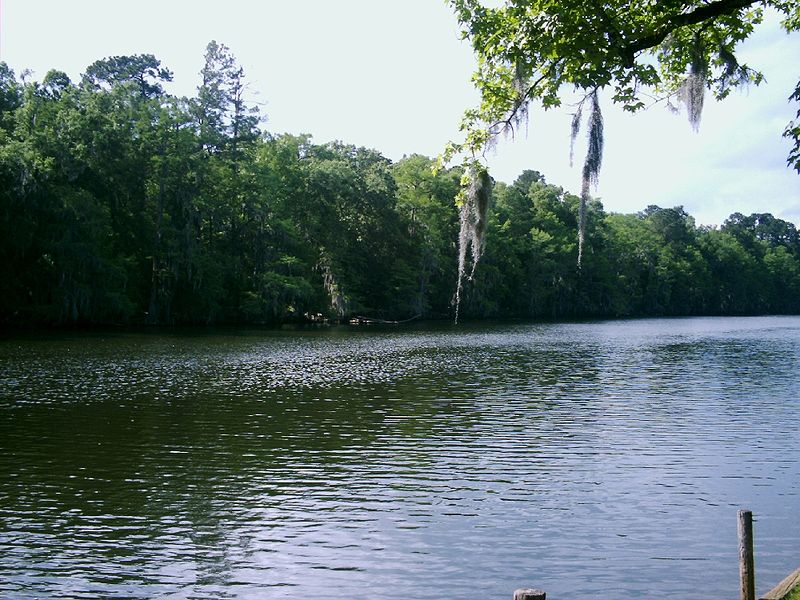 Caddo Lake