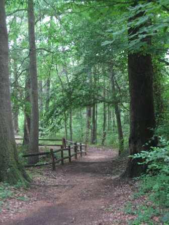 Coldwater River Nature Trail