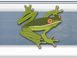 A graphic depicting a green tree frog